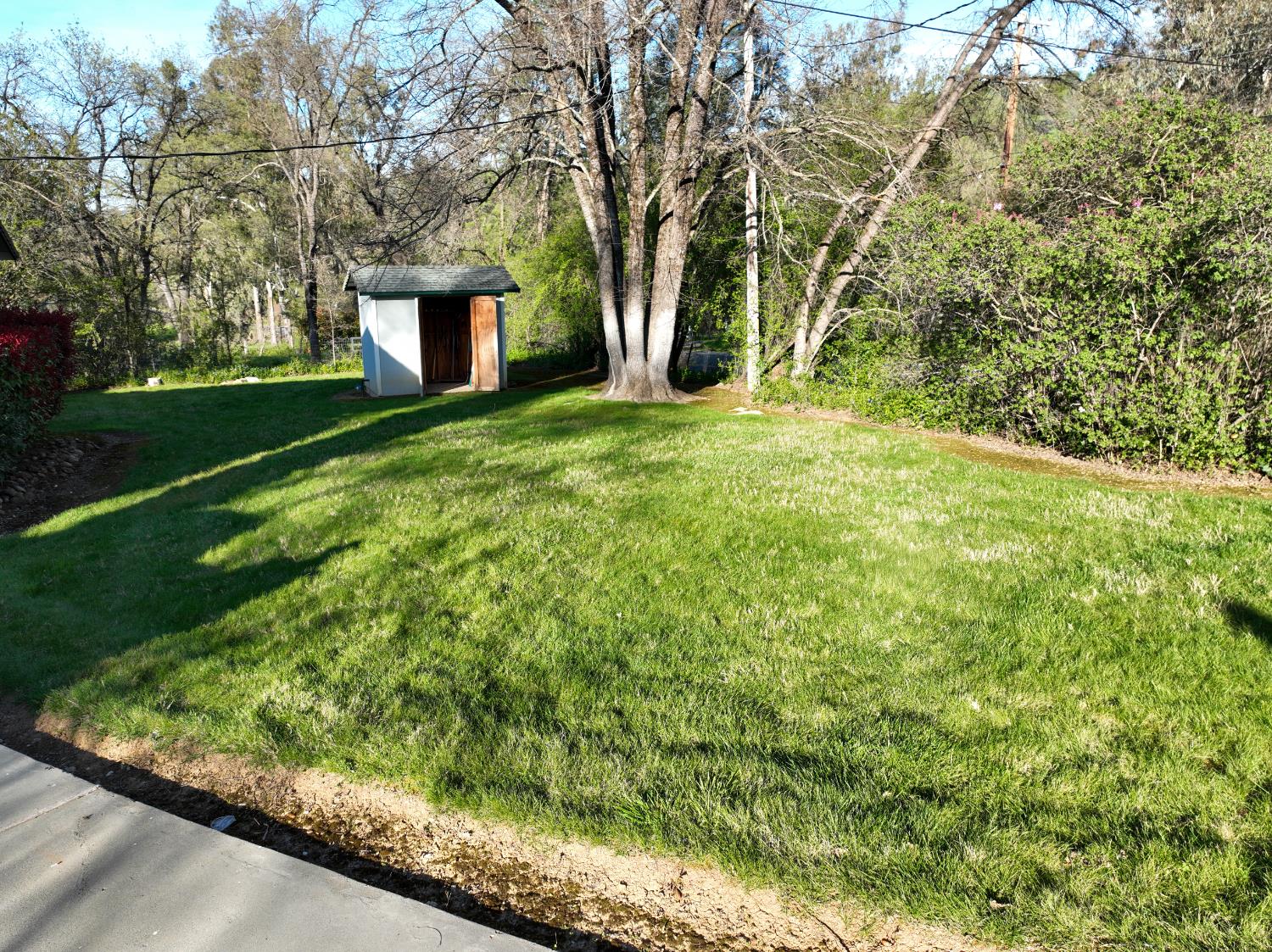 10550 Mooney Flat Road Smartsville, CA 95977 - Photo 44 of 56