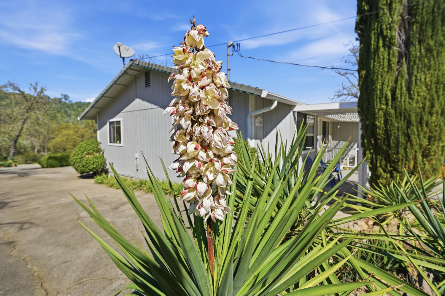 10550 Mooney Flat Road Smartsville, CA 95977 - Photo 53 of 56