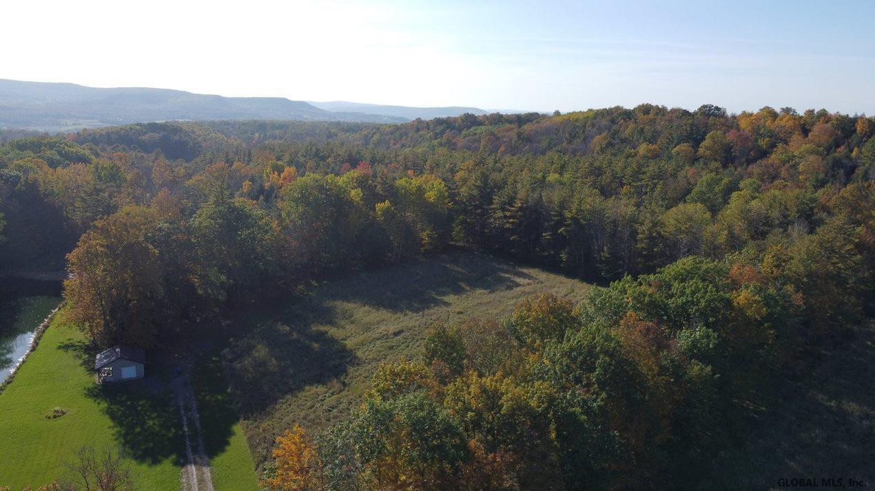 223 Middle Road Wright, NY 12157 - Photo 4 of 6 Photo 4