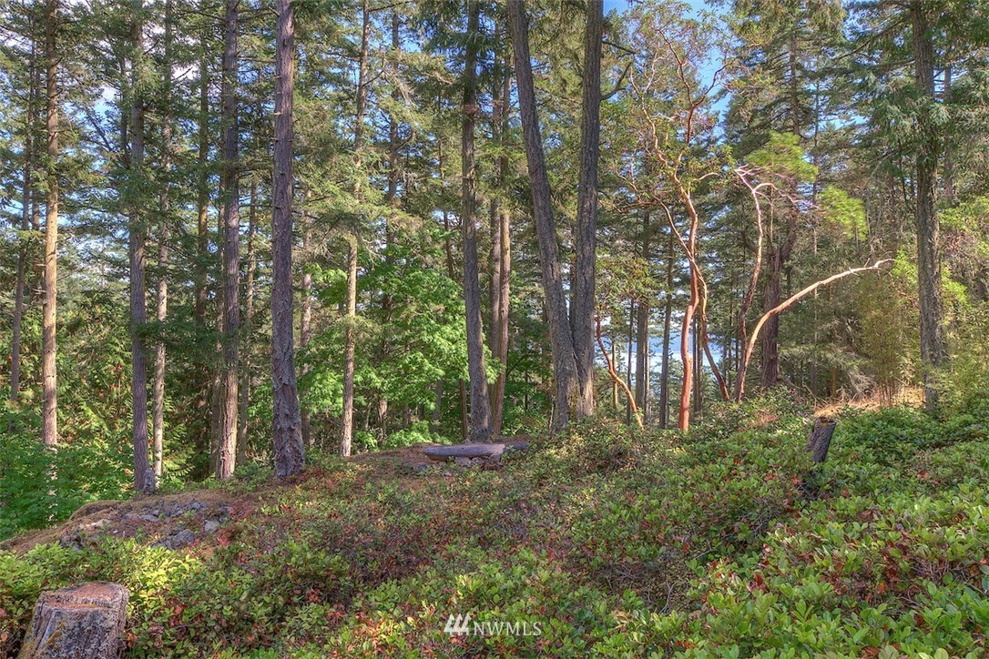 531 Old Farm Road Orcas Island, WA 98280 - Photo 38 of 40 Gallery Image 38