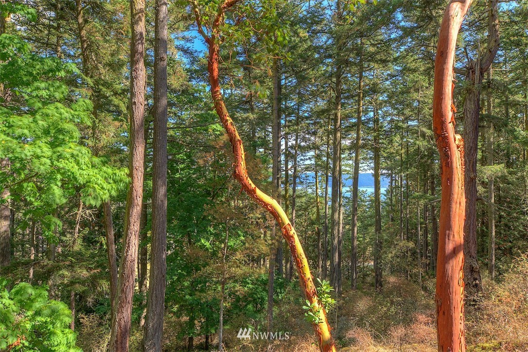 531 Old Farm Road Orcas Island, WA 98280 - Photo 7 of 40 Gallery Image 7