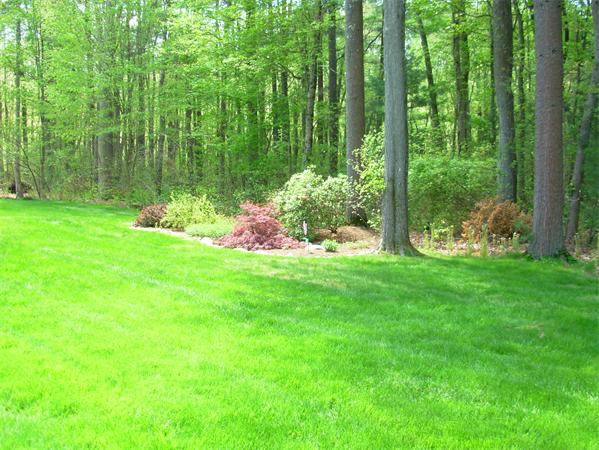 90 Ridge Street Millis, MA 02054 - Photo 21 of 25 Gallery Image 21