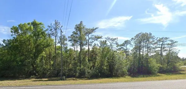 a view of a yard