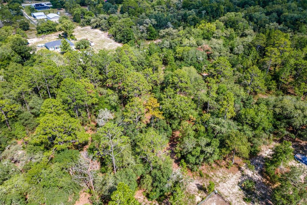 Southwest Shasta Court Dunnellon, FL 34431 - Photo 9 of 9