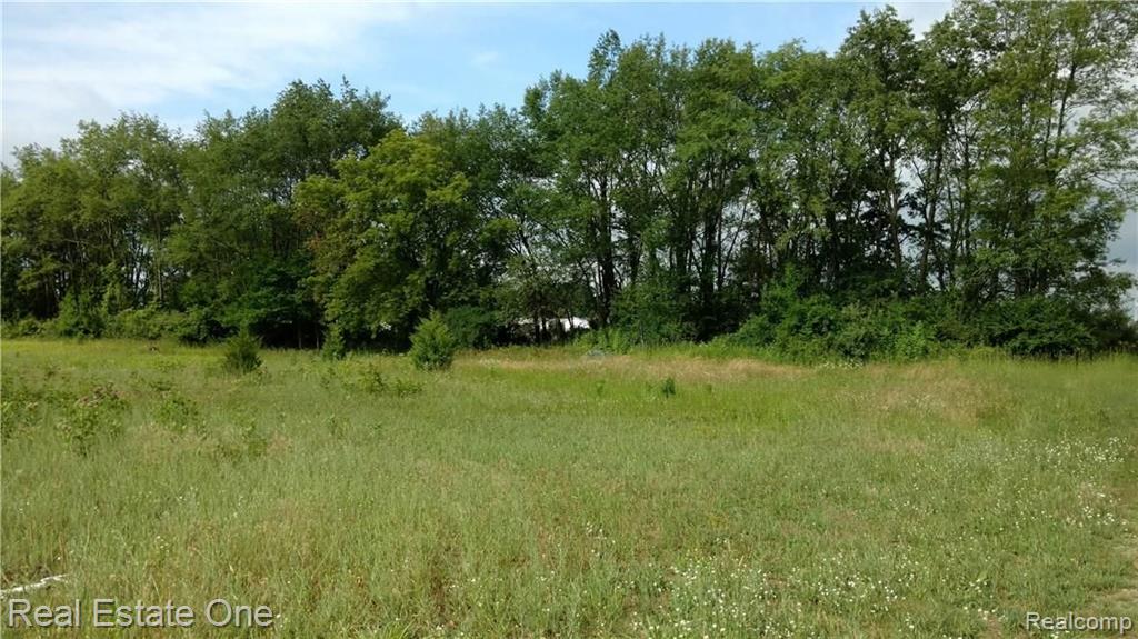 0 South Tipsico Lake Road Highland, MI 48357 - Photo 2 of 6