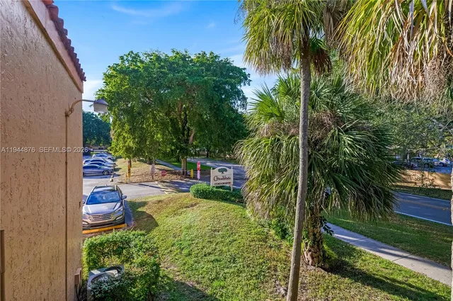 a view of a yard with plants and a large tree