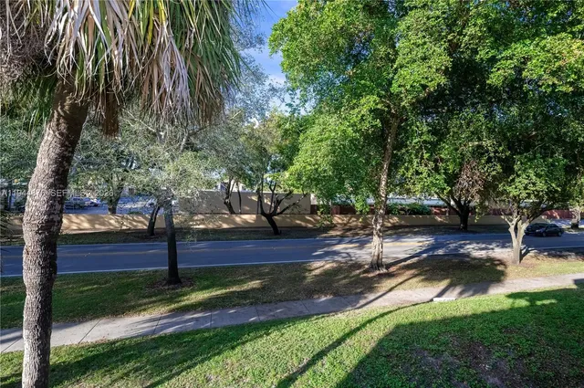 a view of a park with large trees