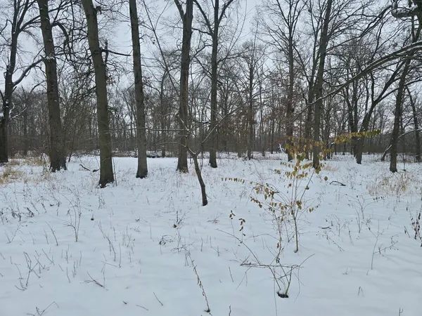 a view of a covered with snow