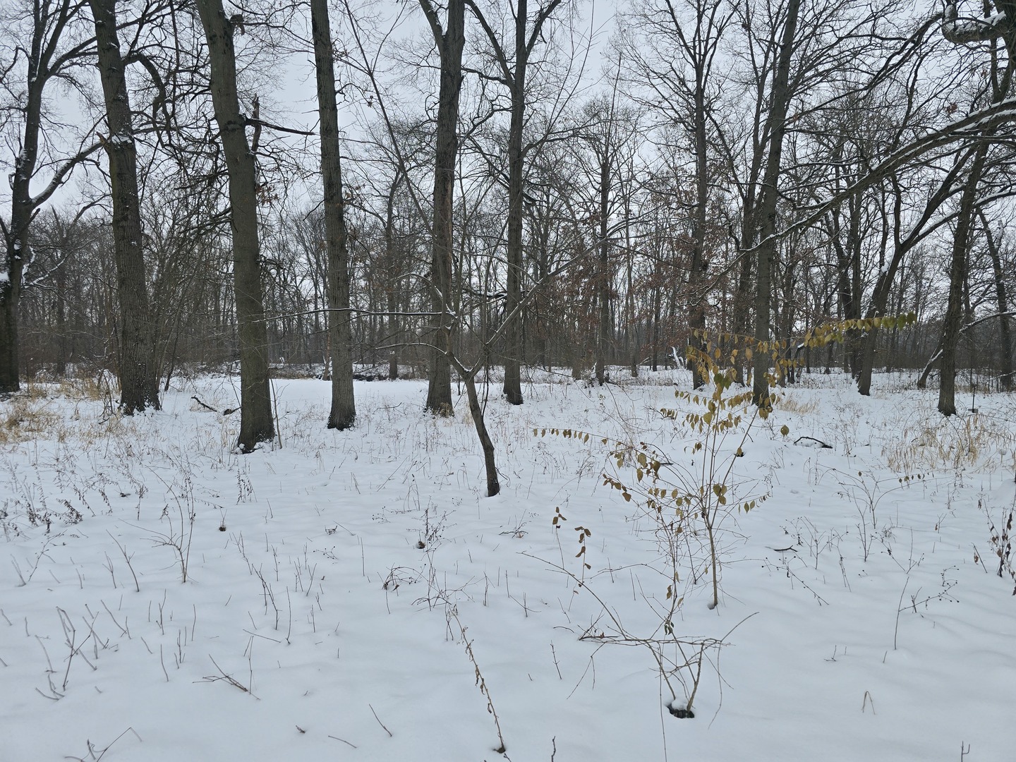 3100 North 17060E Road Momence, IL 60954 - Photo 3 of 15