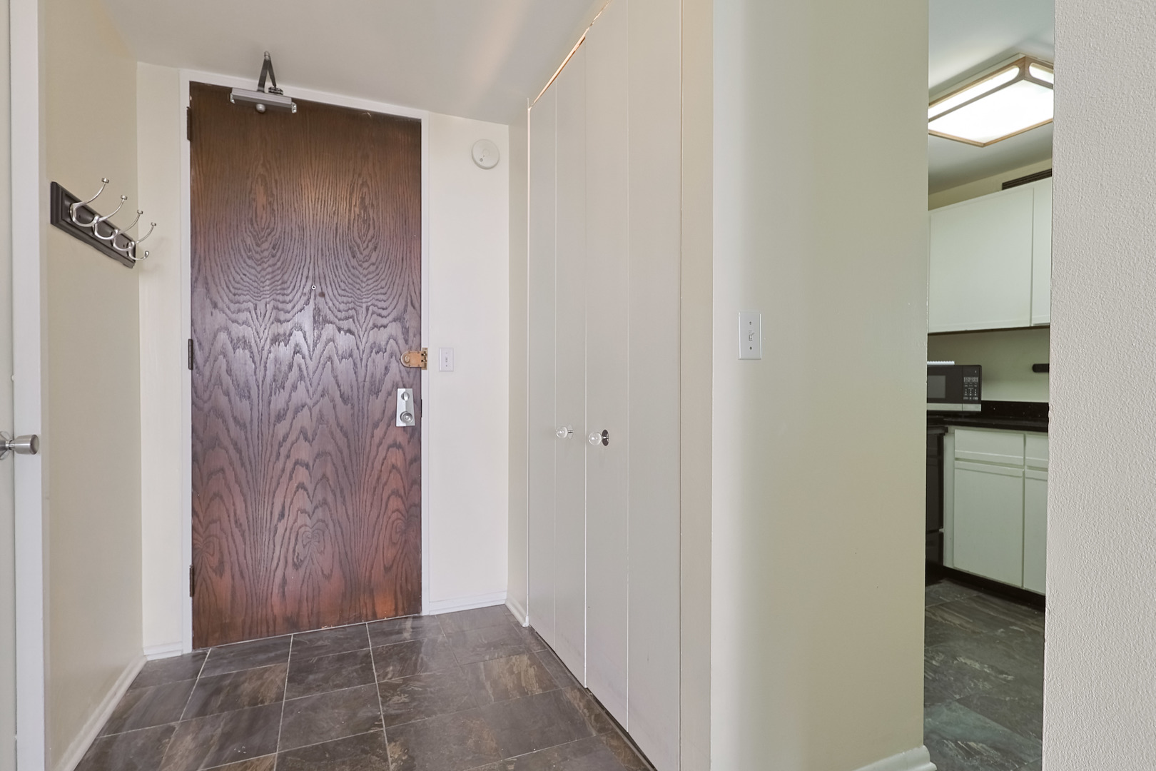 233 East Erie Street, Unit 1702 Chicago, IL 60611 - Photo 14 of 19