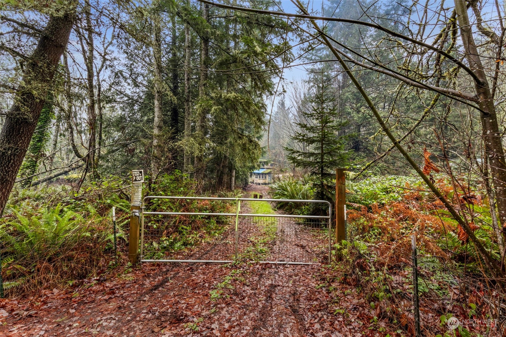 491 No Name Road Port Ludlow, WA 98365 - Photo 1 of 15 a backyard of a house with lots of green space