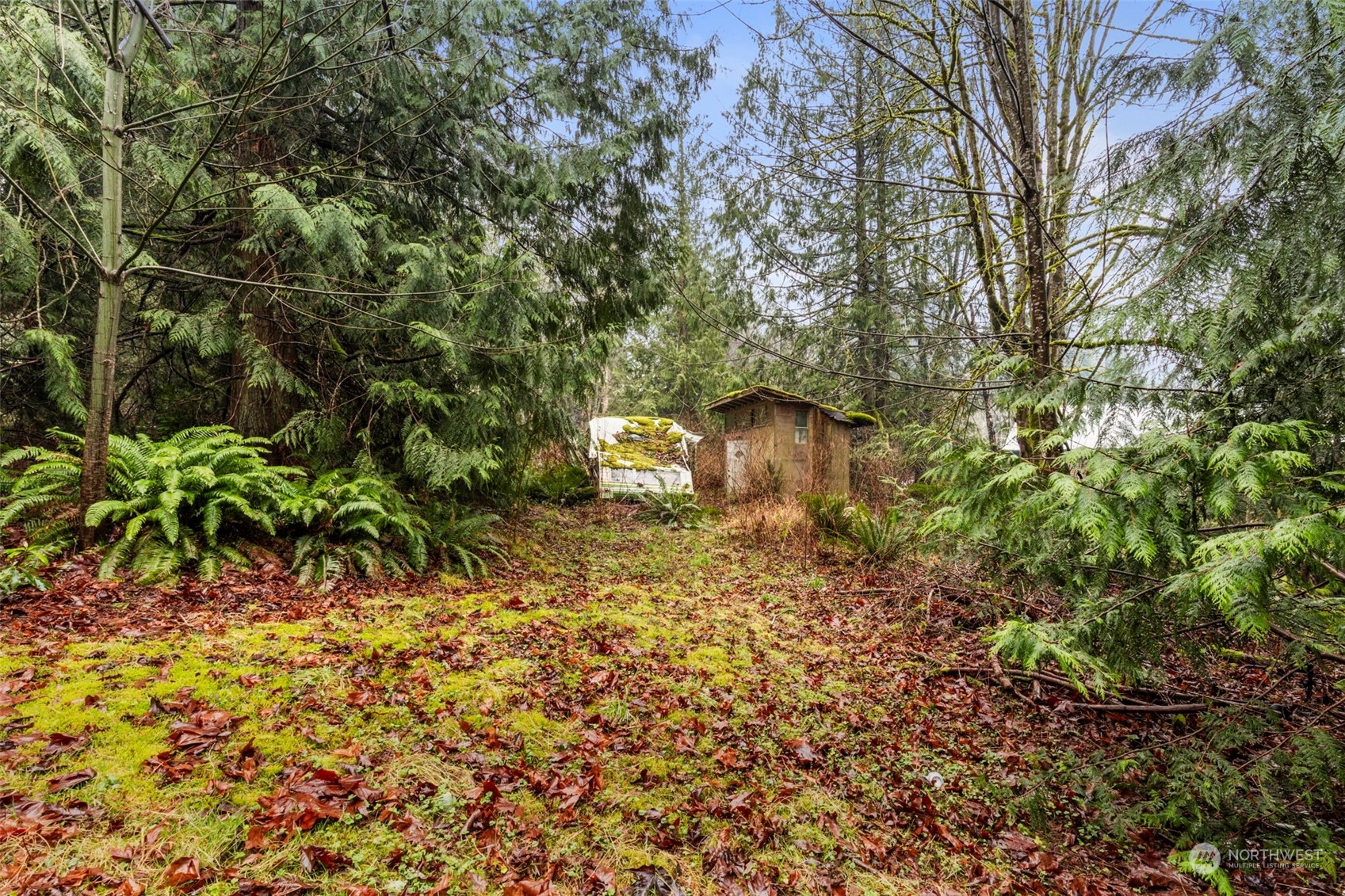 491 No Name Road Port Ludlow, WA 98365 - Photo 3 of 15 a backyard of a house with lots of green space