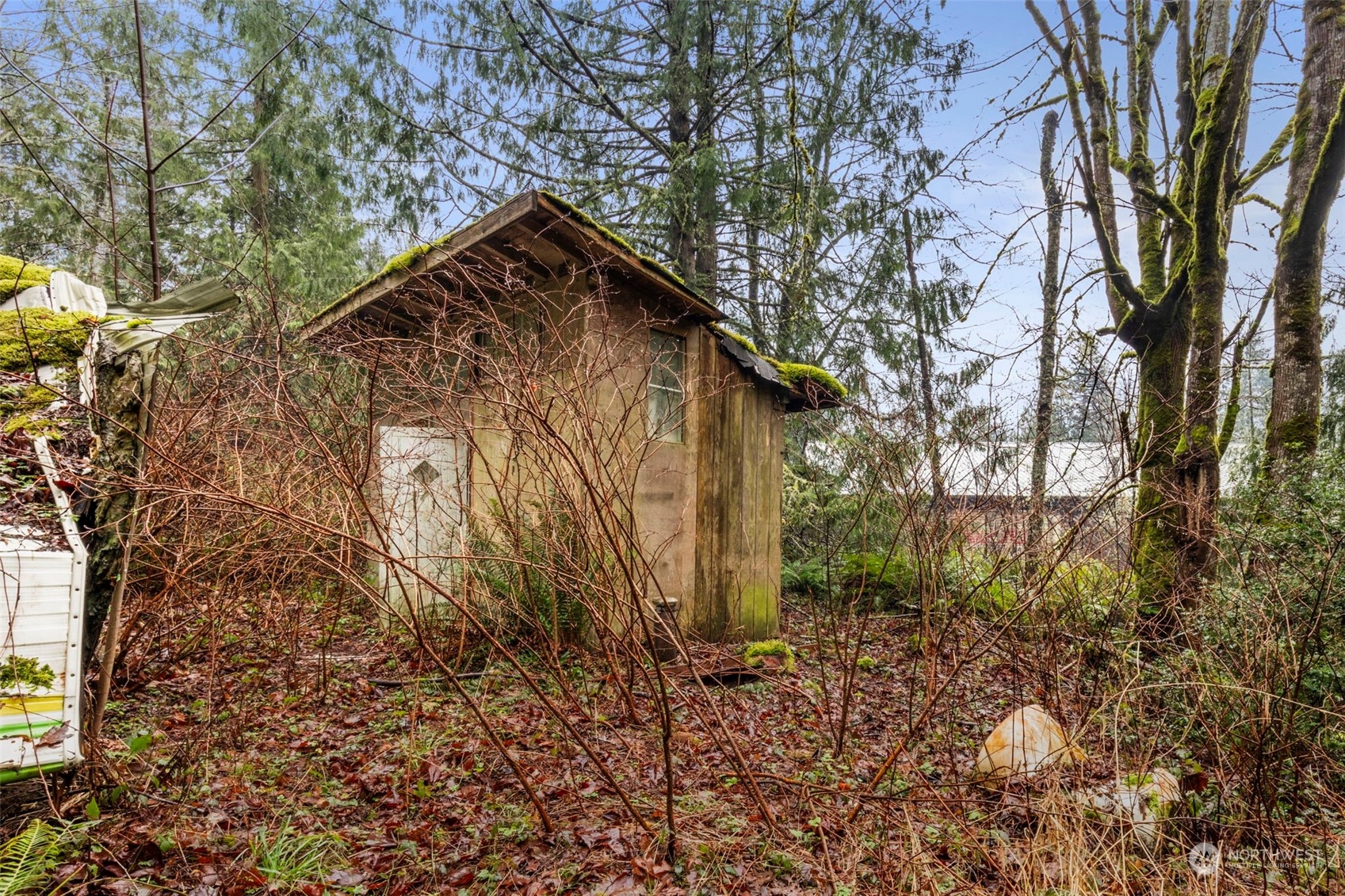 491 No Name Road Port Ludlow, WA 98365 - Photo 4 of 15 a backyard of a house with lots of green space
