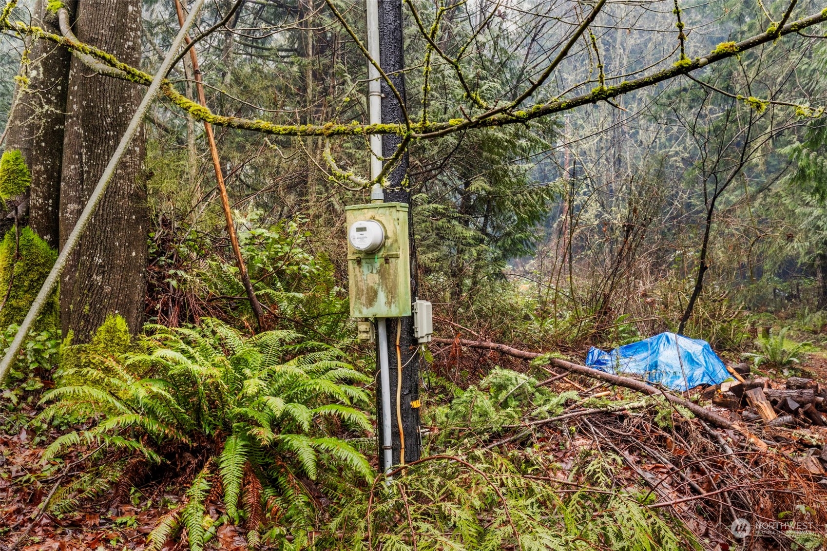 491 No Name Road Port Ludlow, WA 98365 - Photo 7 of 15 a street sign on a pole on a road