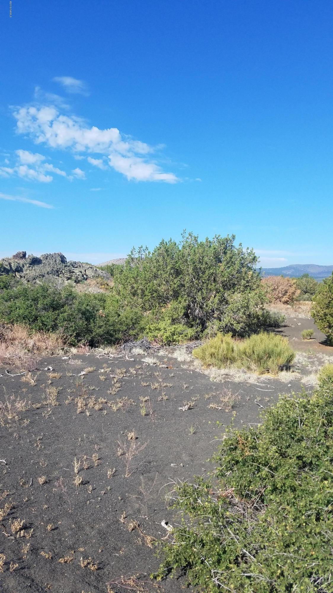 43098 Alpine Ranch Flagstaff, AZ 86004 - Photo 3 of 4 Parcel 3