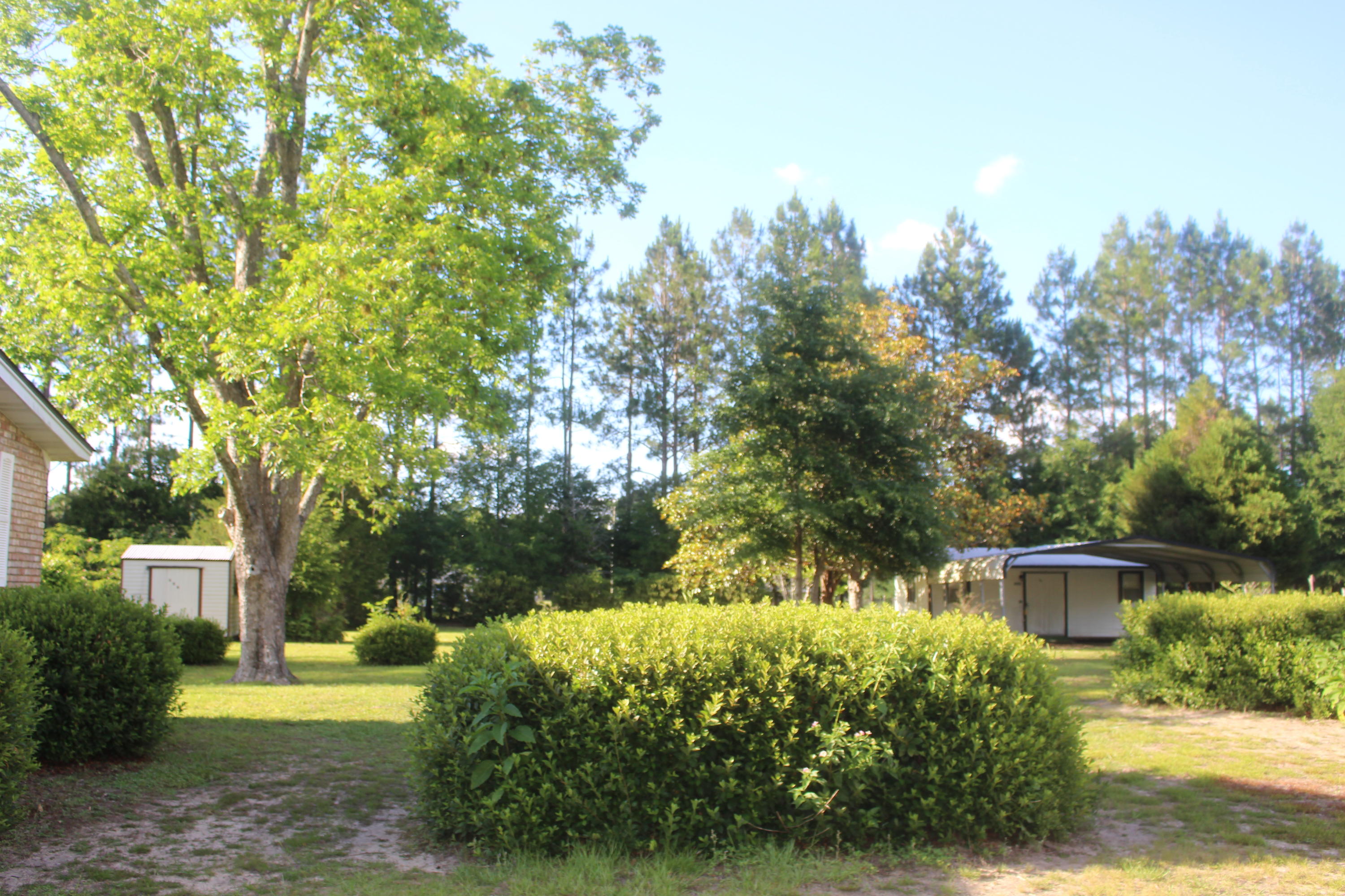 561 Springtime Avenue Holt, FL 32564 - Photo 9 of 12 Gallery Image 9