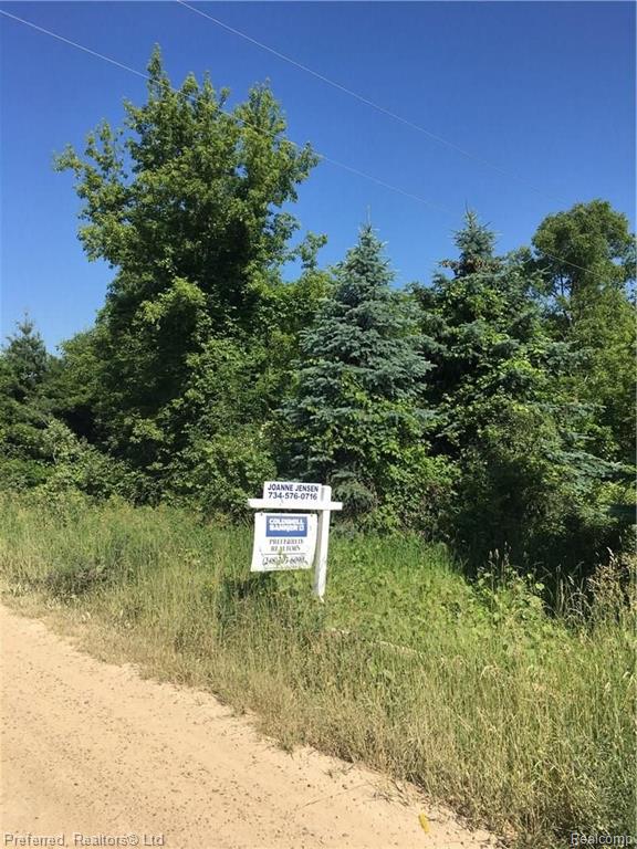 3375 Five Mile Road South Lyon, MI 48178 - Photo 1 of 11