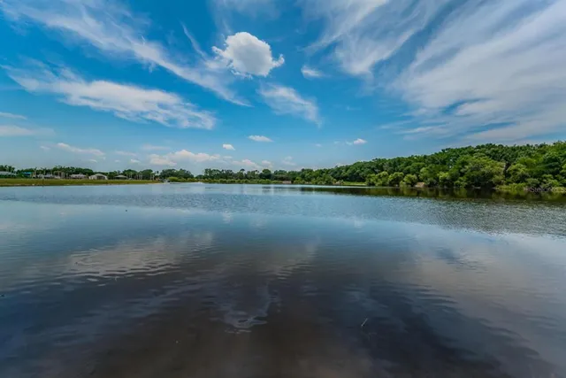 a view of a park with large trees