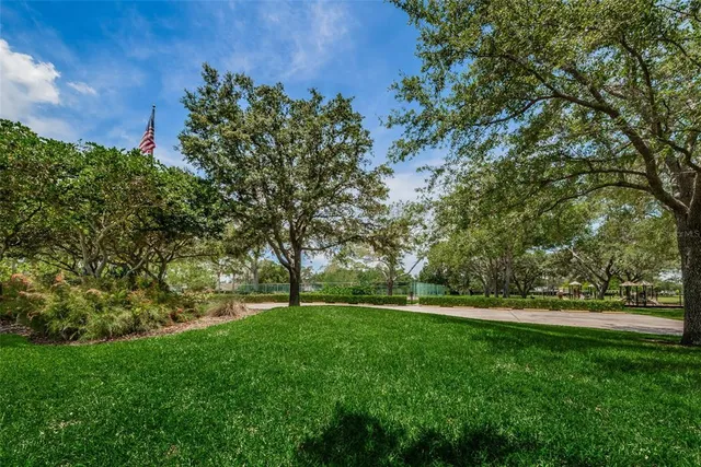 a view of a park with large trees