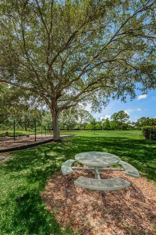 a view of a park with a tree in the grass