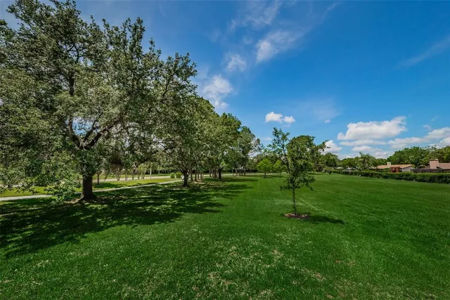 a view of a field with a tree in the background