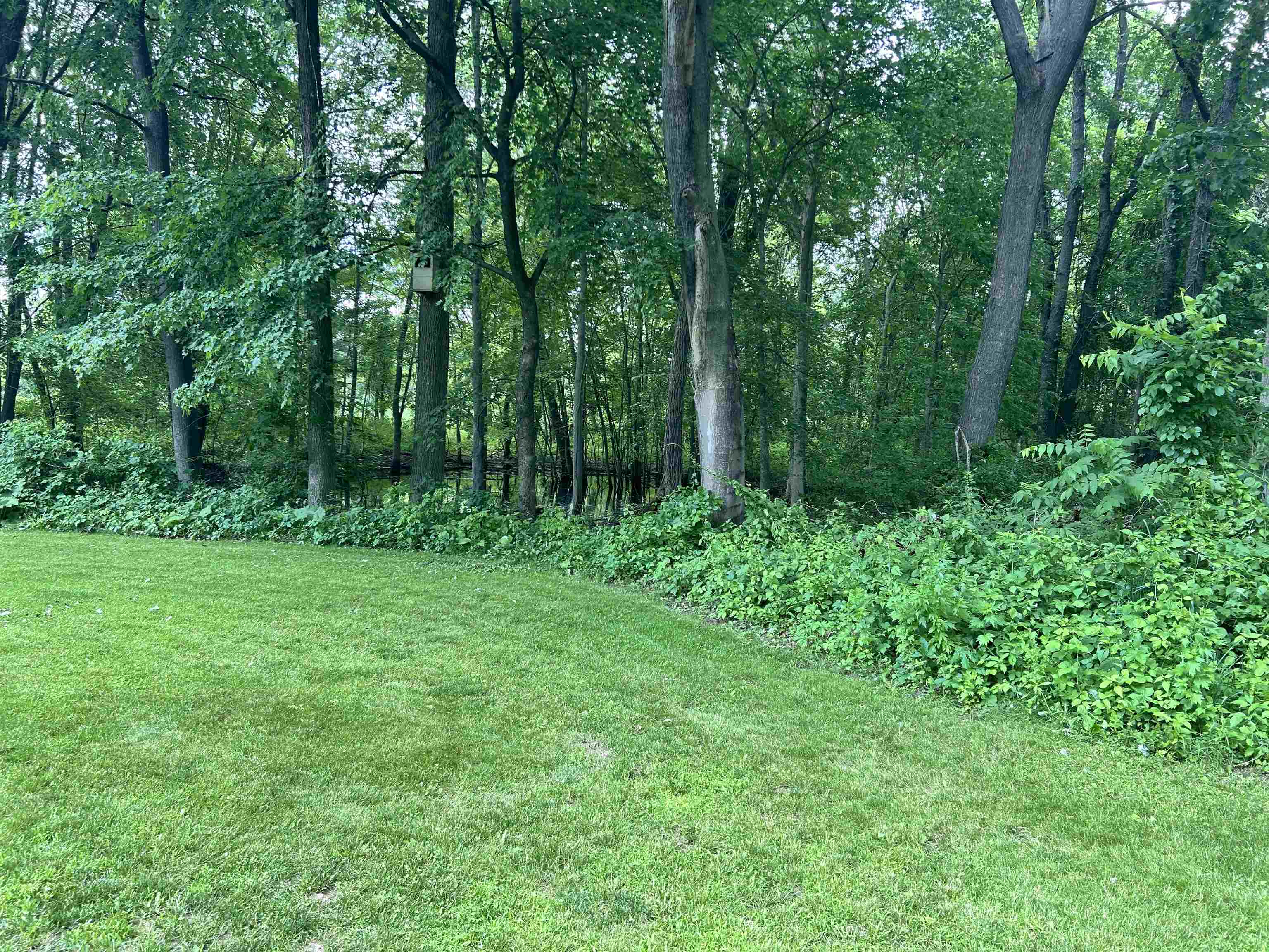 4550 Hummer Lake Road Ortonville, MI 48462 - Photo 13 of 60