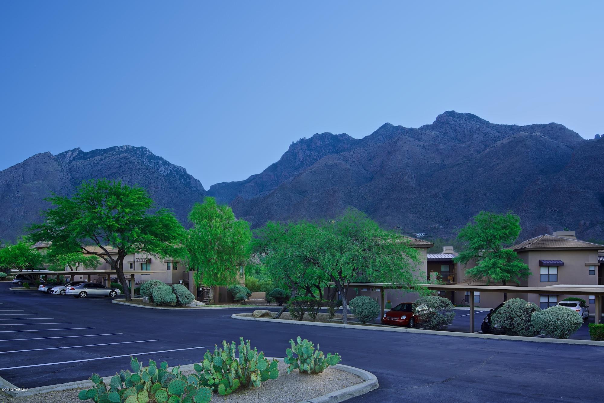 5855 North Kolb Road, Unit 12210 Tucson, AZ 85750 - Photo 15 of 16