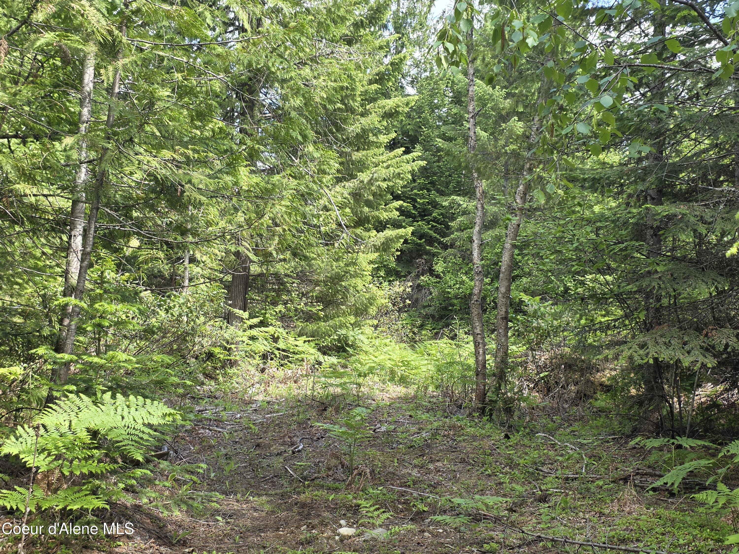 5784 River Road Clark Fork, ID 83811 - Photo 3 of 38 This property has endless options