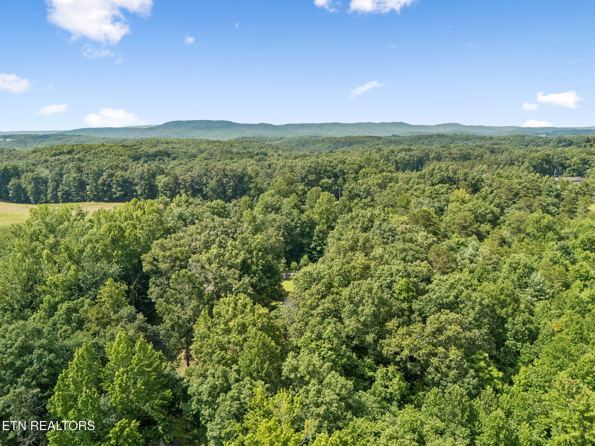 Ridge Road Lancing, TN 37770 - Photo 18 of 18 18-130 Ridge Rd - 018