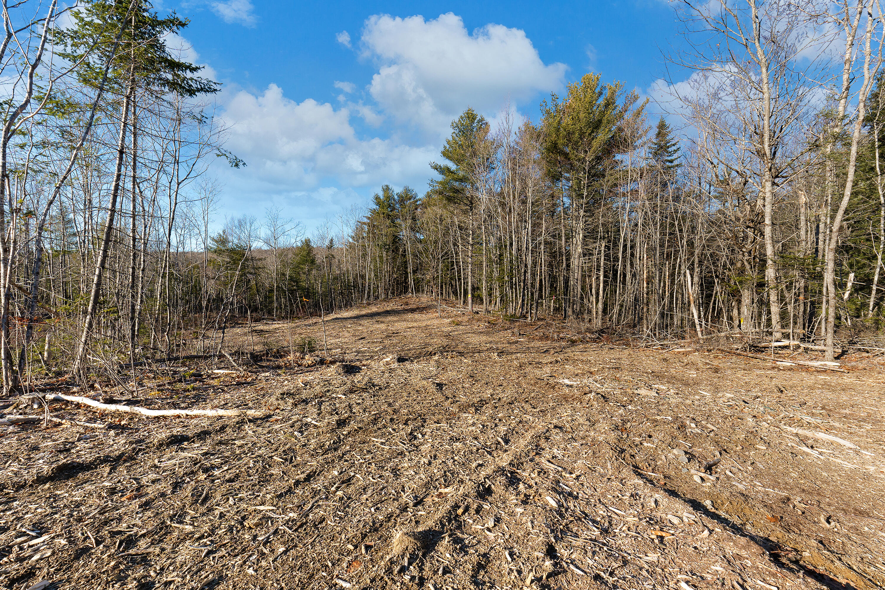 Lot 5 Pine Hill Road Palermo, ME 04354 - Photo 3 of 15 0141 - Lot 05