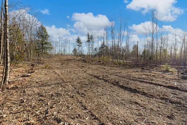 $49,900 | Lot 5 Pine Hill Road, Palermo, ME 04354