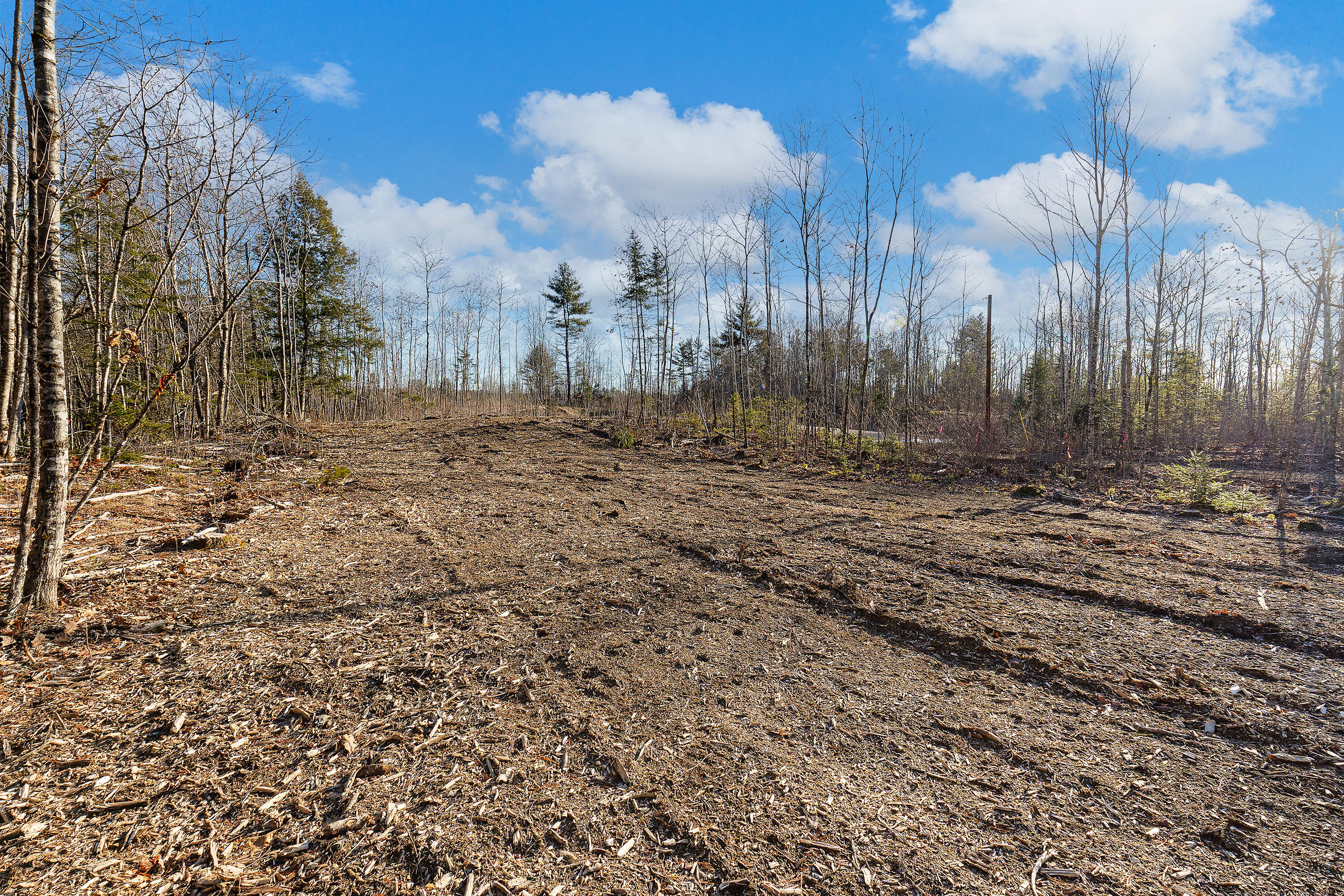 Lot 5 Pine Hill Road Palermo, ME 04354 - Photo 4 of 15 0142 - Lot 05