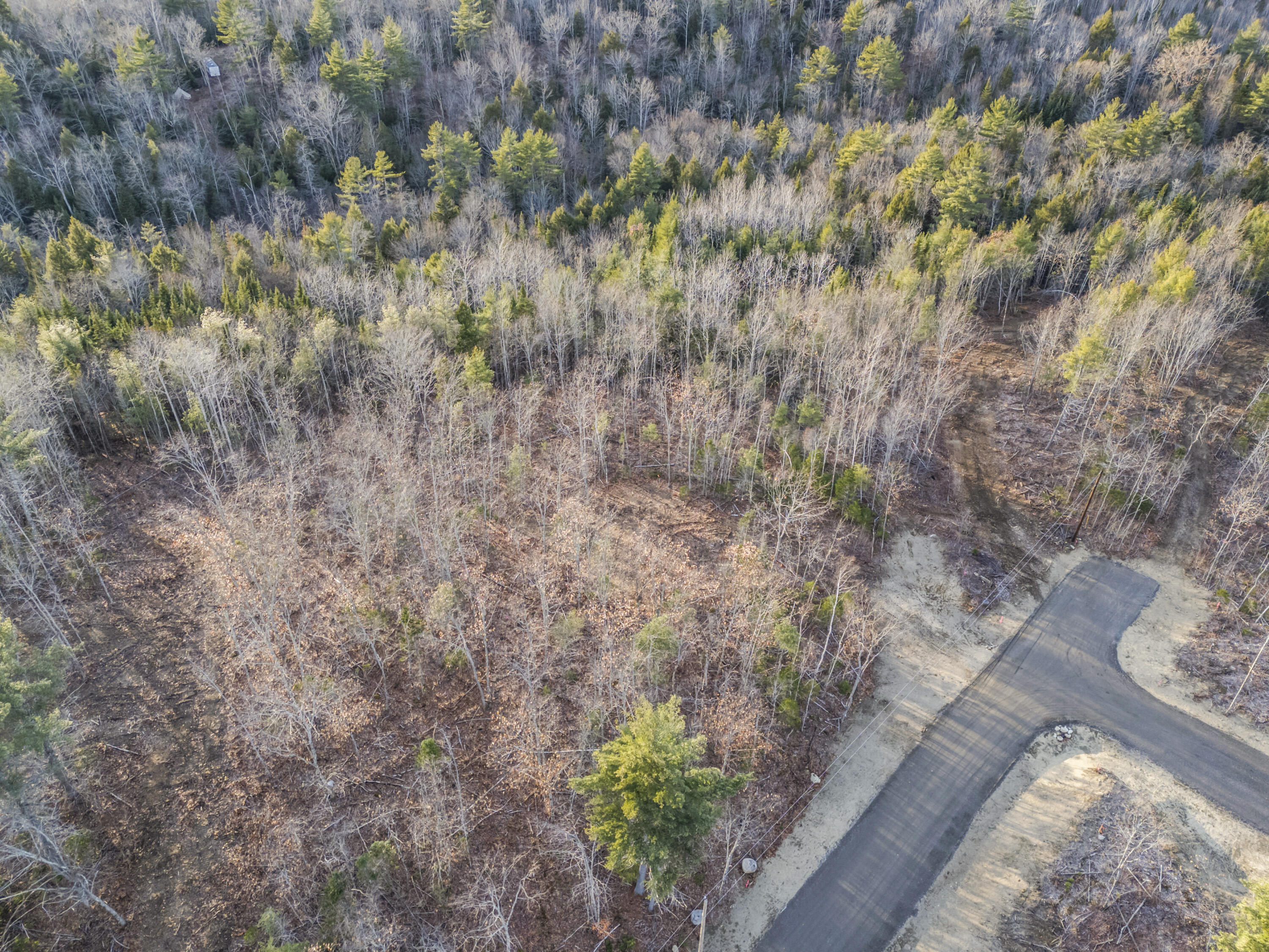 Lot 5 Pine Hill Road Palermo, ME 04354 - Photo 5 of 15 073 - LOT 5