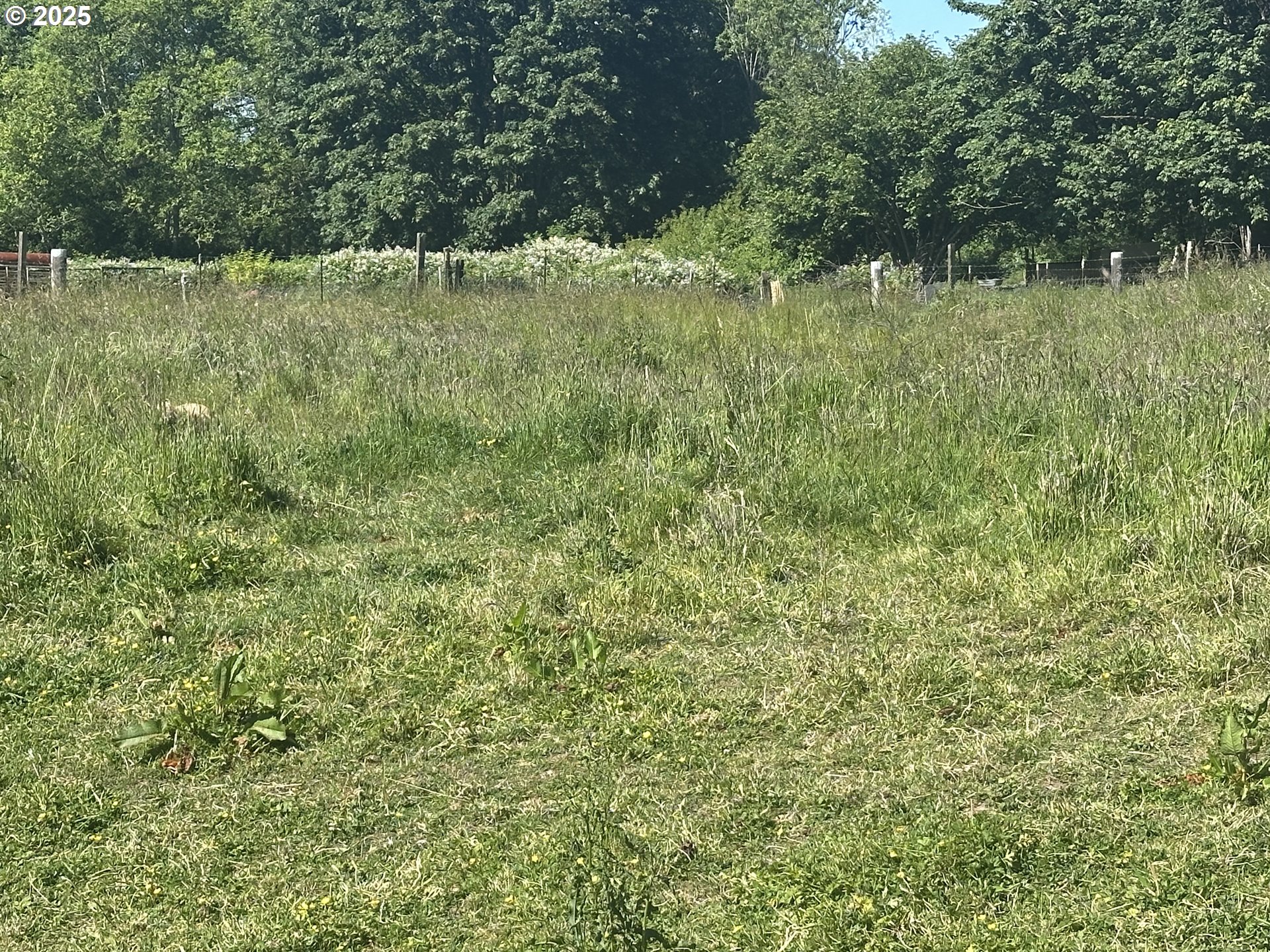 91171 Old Mill Town Road Clatskanie, OR 97016 - Photo 3 of 9 a view of outdoor space with a lake view