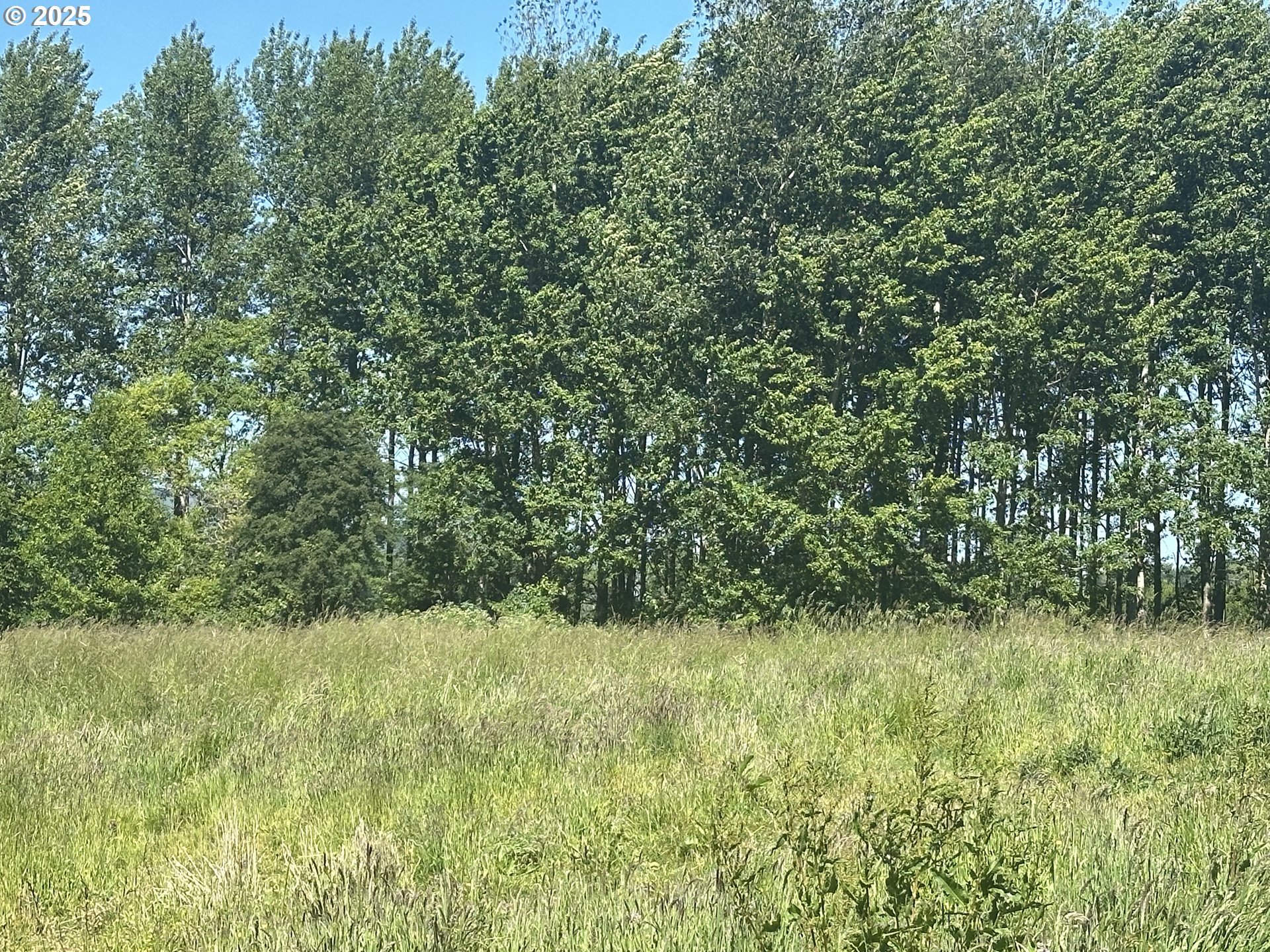 91171 Old Mill Town Road Clatskanie, OR 97016 - Photo 5 of 9 a view of outdoor space and yard