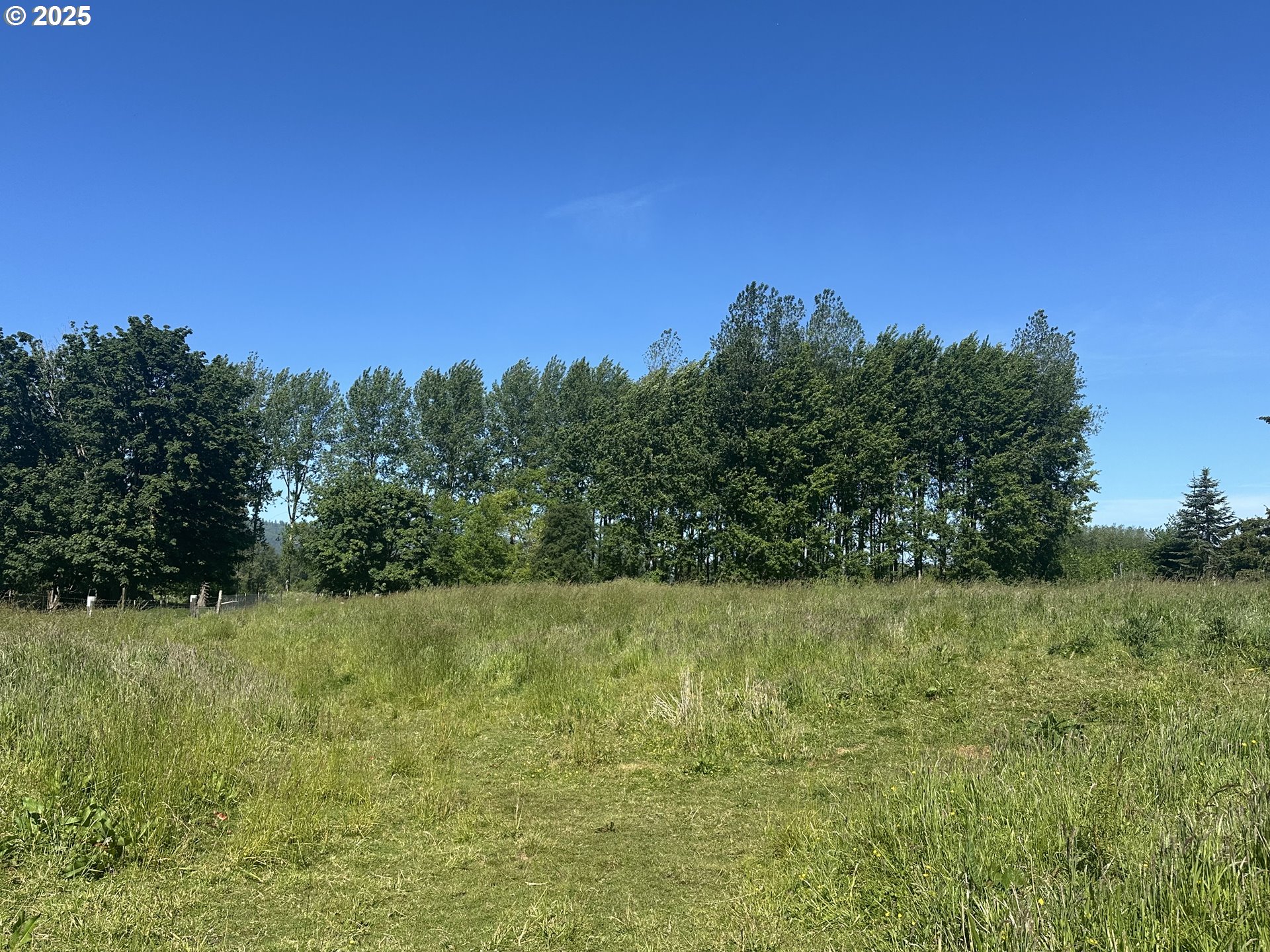 91171 Old Mill Town Road Clatskanie, OR 97016 - Photo 6 of 9 a view of a field with trees in the background