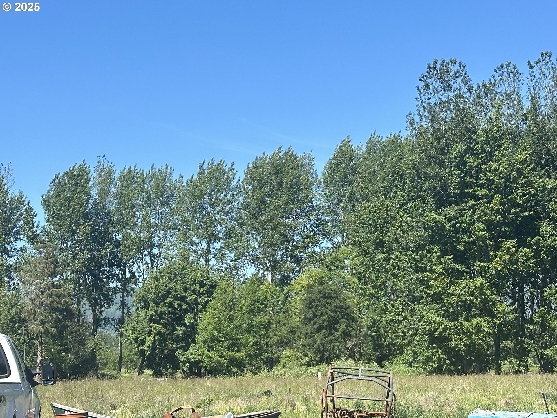 91171 Old Mill Town Road Clatskanie, OR 97016 - Photo 9 of 9 a view of a yard with a tree