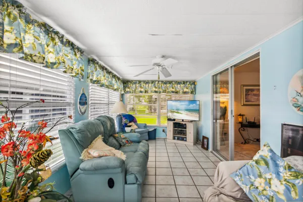 a living room with furniture and a potted plant