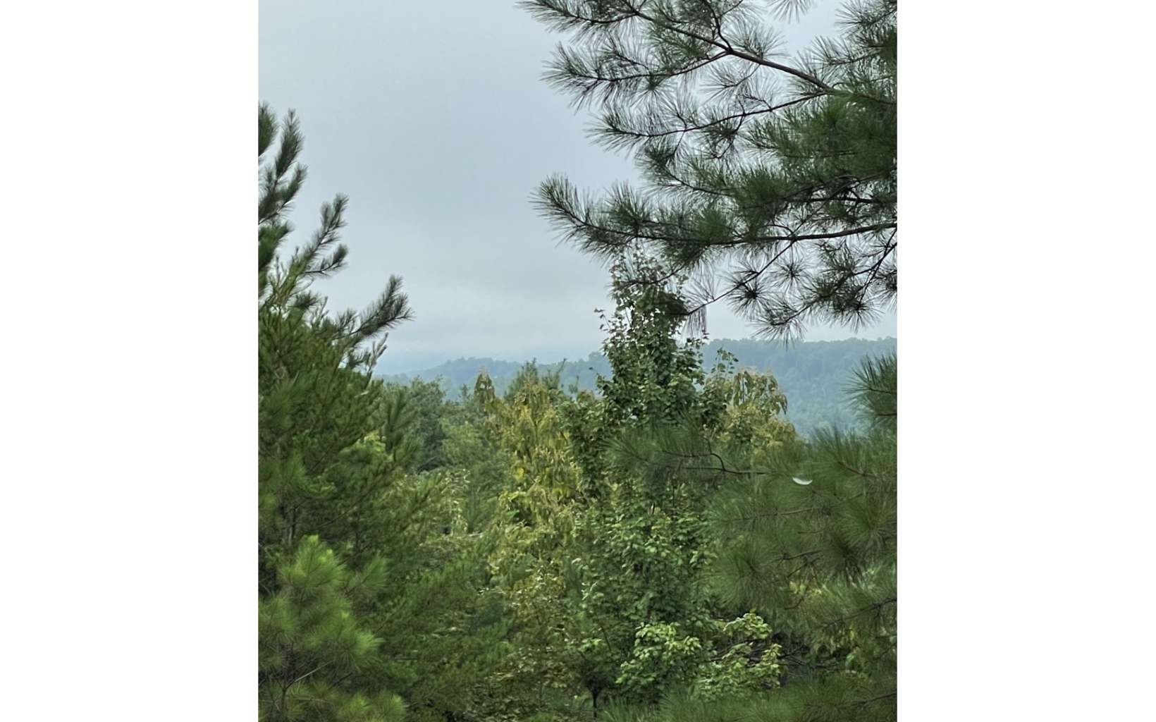 0 Choctaw Rdg Trail Murphy, NC 28906 - Photo 3 of 10 Additional View