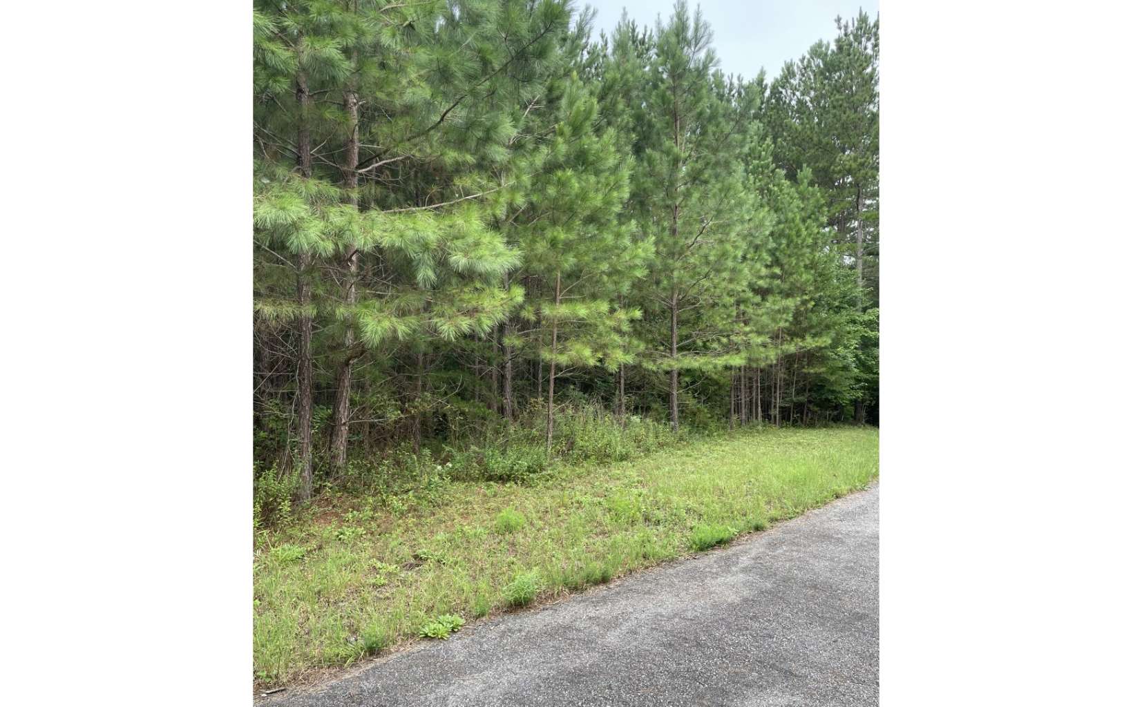 0 Choctaw Rdg Trail Murphy, NC 28906 - Photo 4 of 10 Additional View