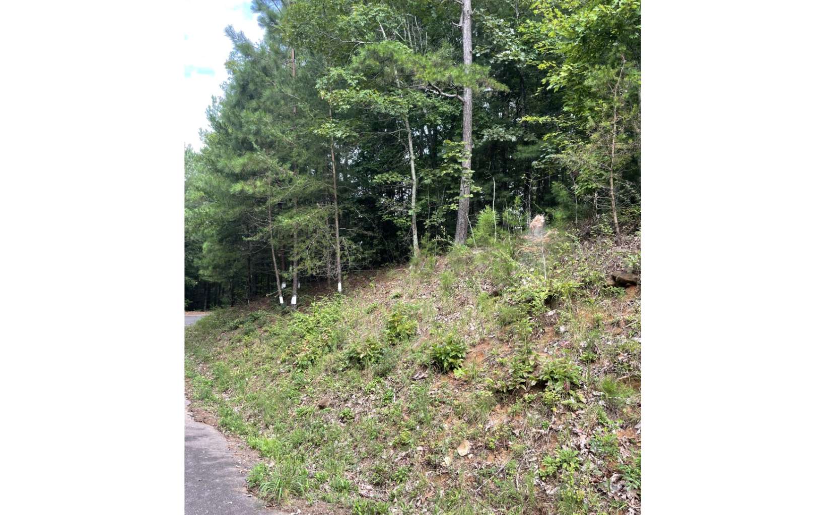 0 Choctaw Rdg Trail Murphy, NC 28906 - Photo 7 of 10 Additional View