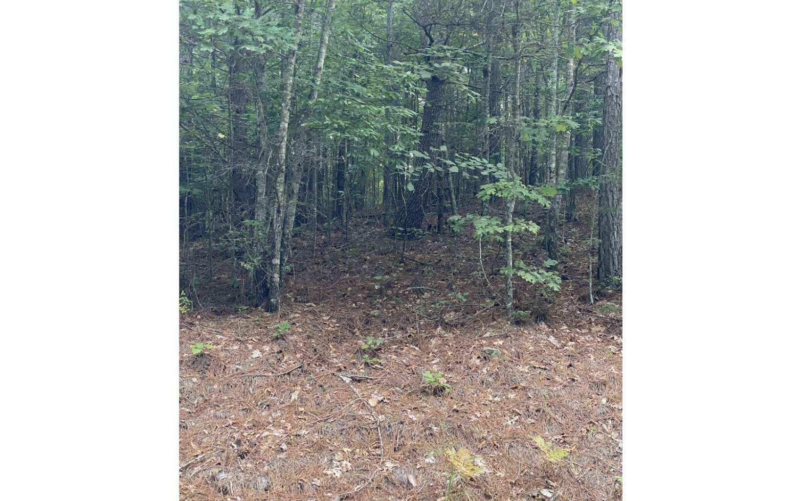 0 Choctaw Rdg Trail Murphy, NC 28906 - Photo 8 of 10 Additional View