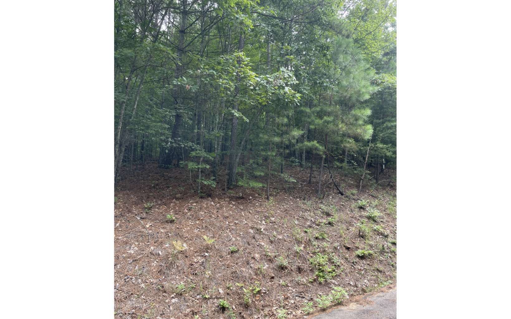 0 Choctaw Rdg Trail Murphy, NC 28906 - Photo 9 of 10 Additional View