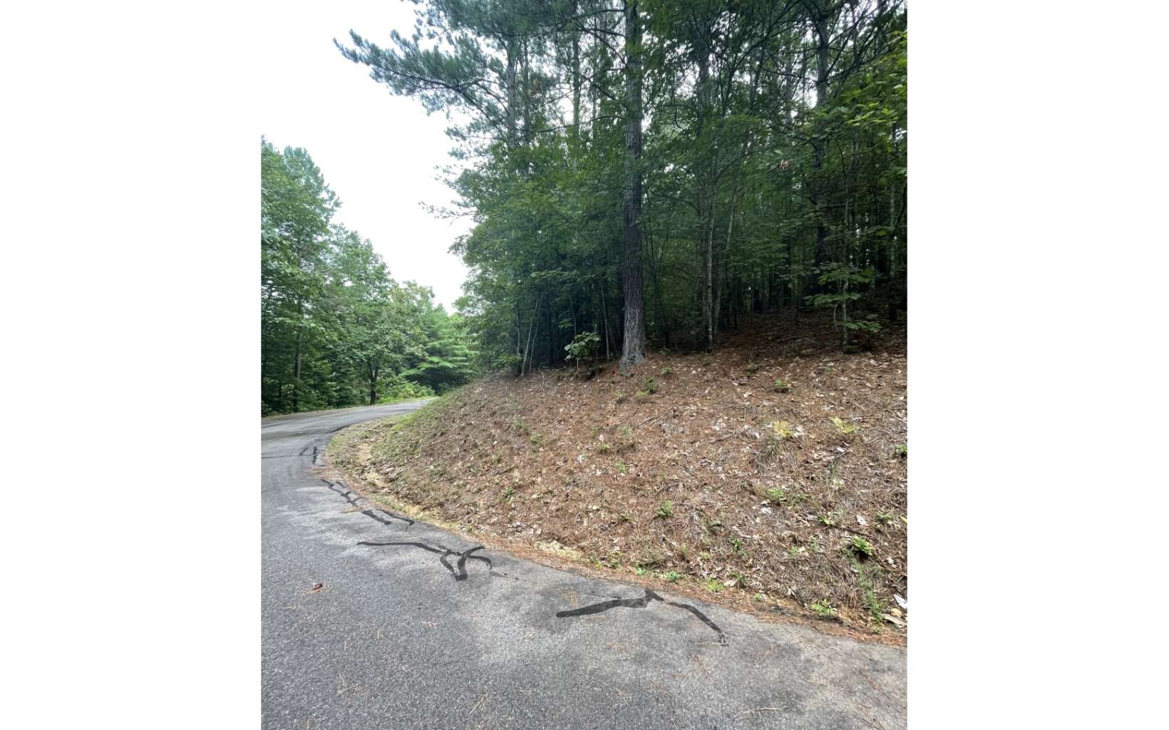 0 Choctaw Rdg Trail Murphy, NC 28906 - Photo 10 of 10 Additional View