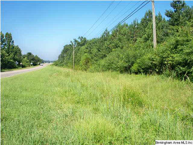0 Highway 11 Vance Al Vance, AL 35490 - Photo 6 of 8