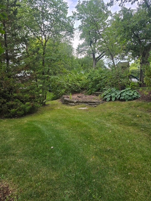 16665 Merc Lane Lockport, IL 60441 - Photo 49 of 54 a backyard of a house with lots of green space