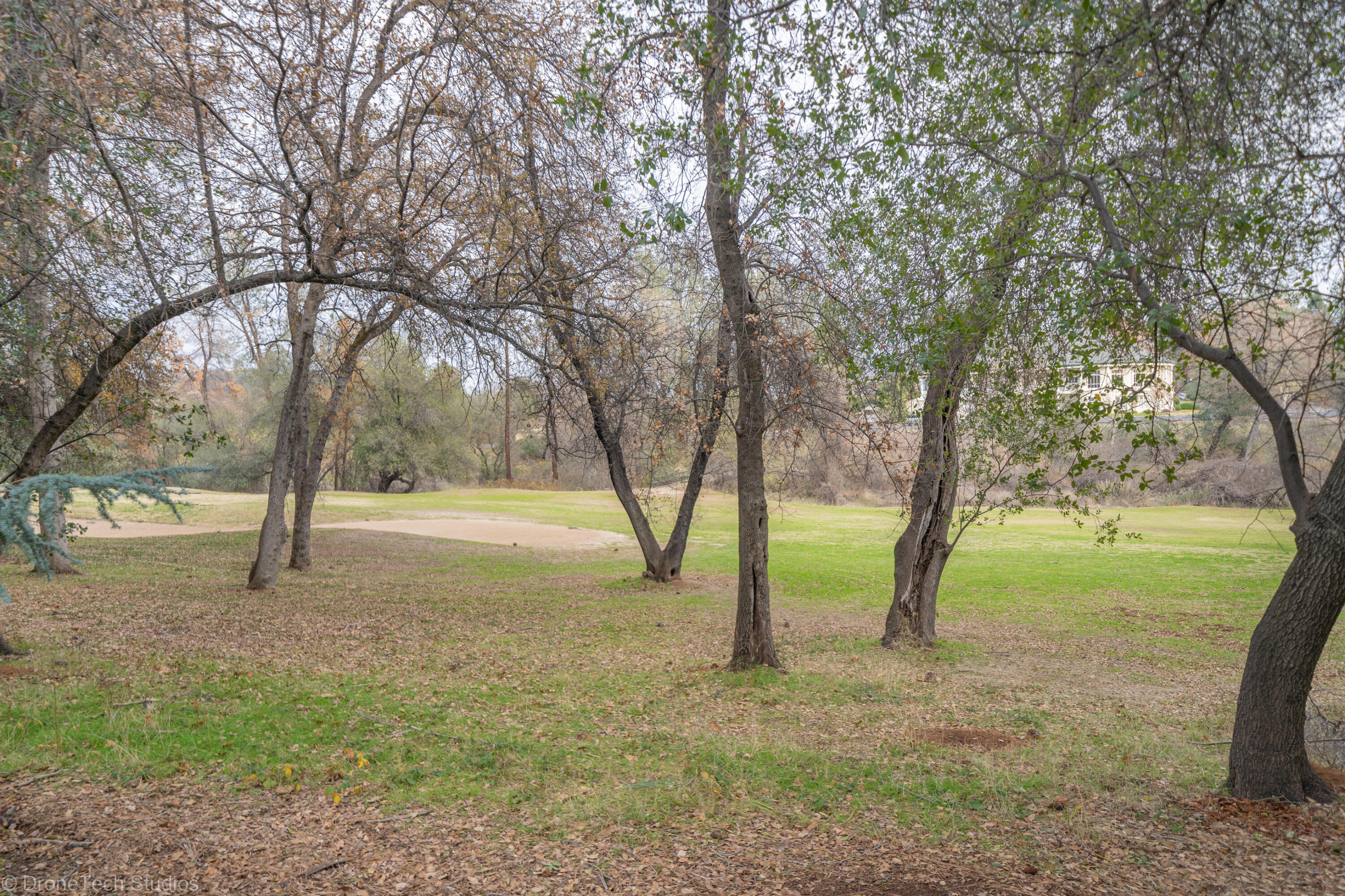 13335 Tierra Heights Road Redding, CA 96003 - Photo 29 of 72 18th Fairway