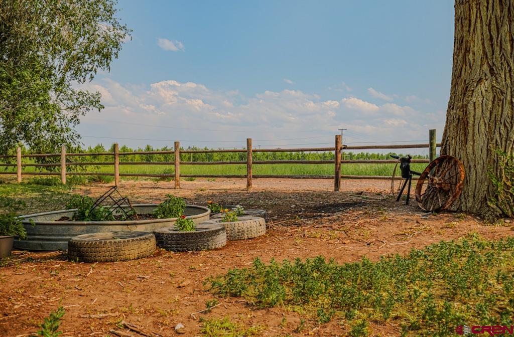 7531 High Mesa Road Olathe, CO 81425 - Photo 12 of 44