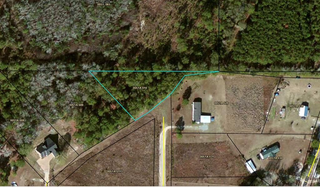 0 Goldbrick Road Adel, GA 31620 - Photo 1 of 1 Gallery Image 1