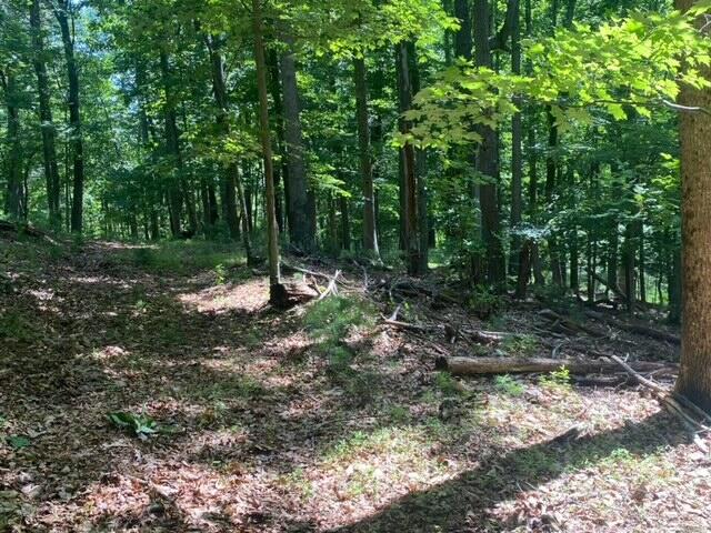 0 Wild Turkey Road Boones Mill, VA 24065 - Photo 27 of 36 IMG_7652